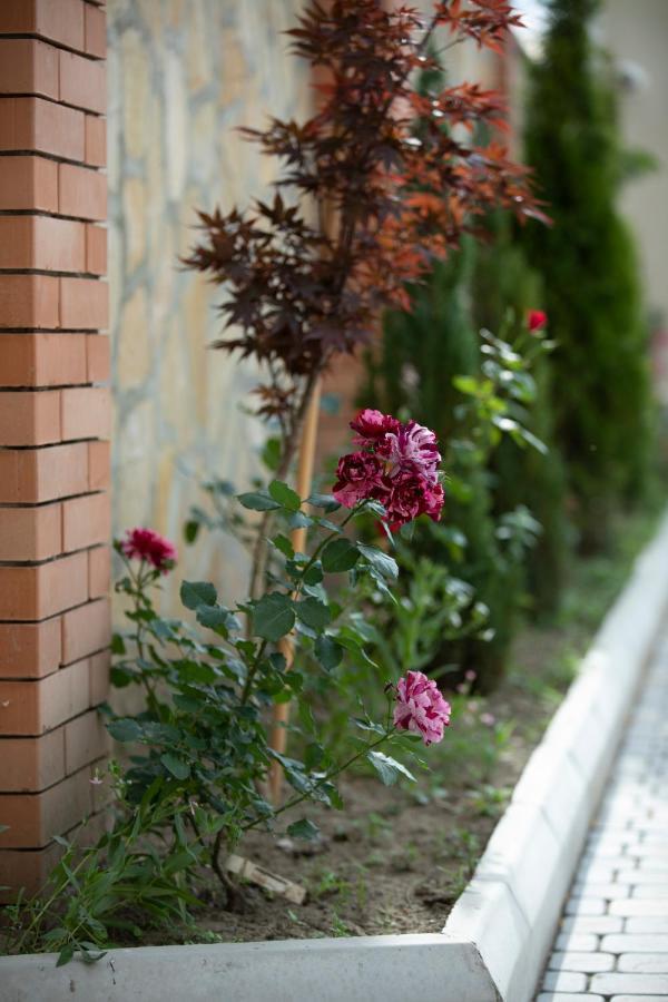Royal House Hotel Gori Ngoại thất bức ảnh